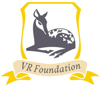 VR Foundation Logo