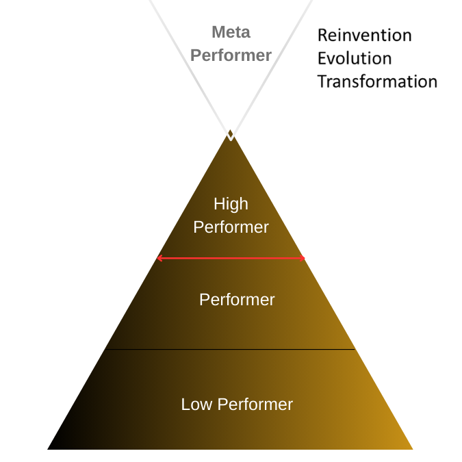 Reinvent Program REinvent Mastermind