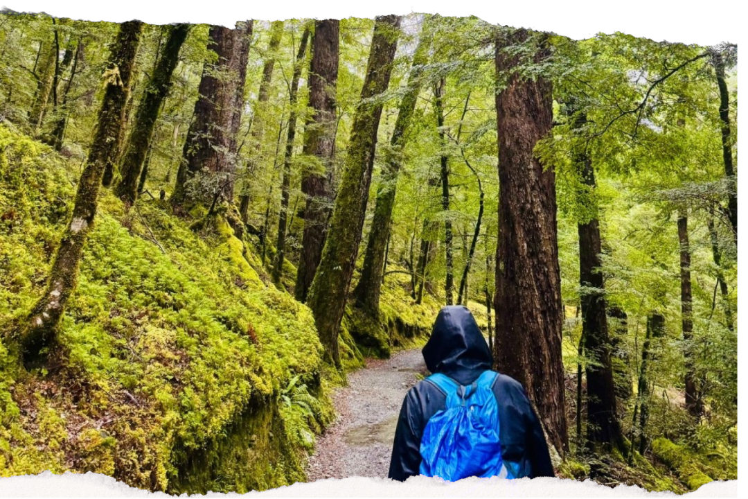Family walking together through a lush New Zealand mountain landscape