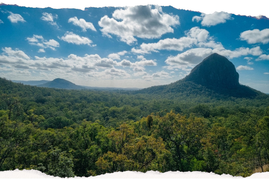 The volcanic peaks of the Glasshouse Mountains rising above the forest