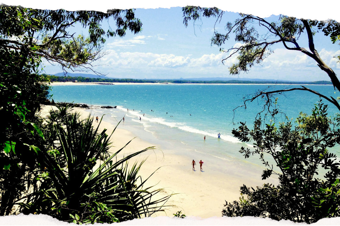 Noosa Main Beach and calm turquoise water seen through the trees from the national park coastal track