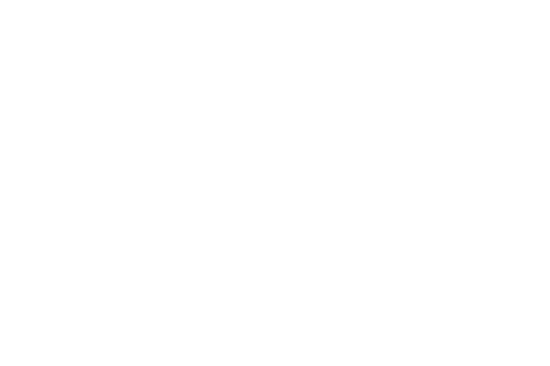 Hashi3 Ltd Logo