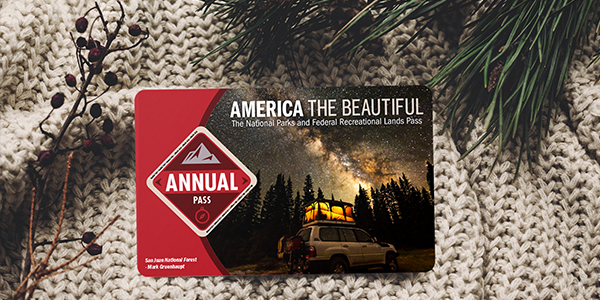 Annual Pass Holiday Image