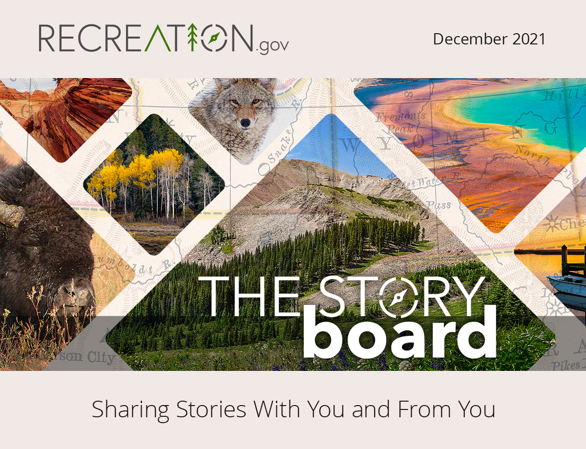 The Story Board December 2021. Sharing Stories With You and From You.