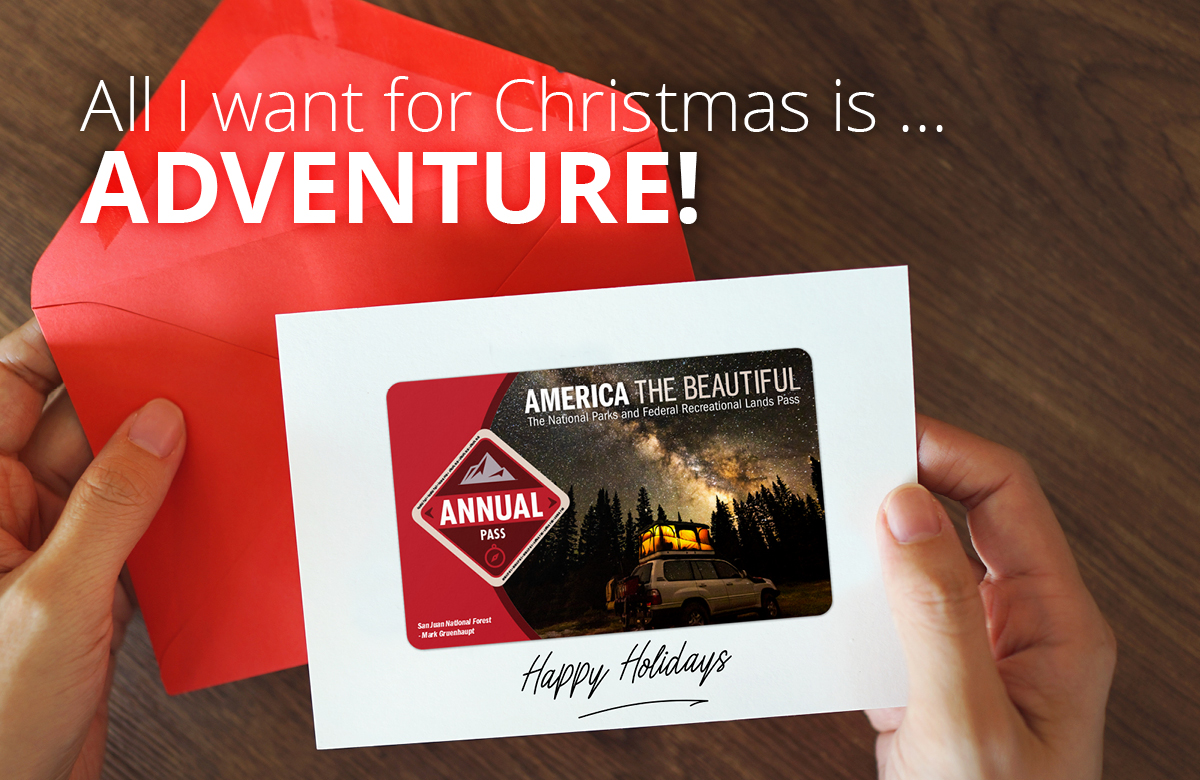 All I want for Christmas is ... Adventure!