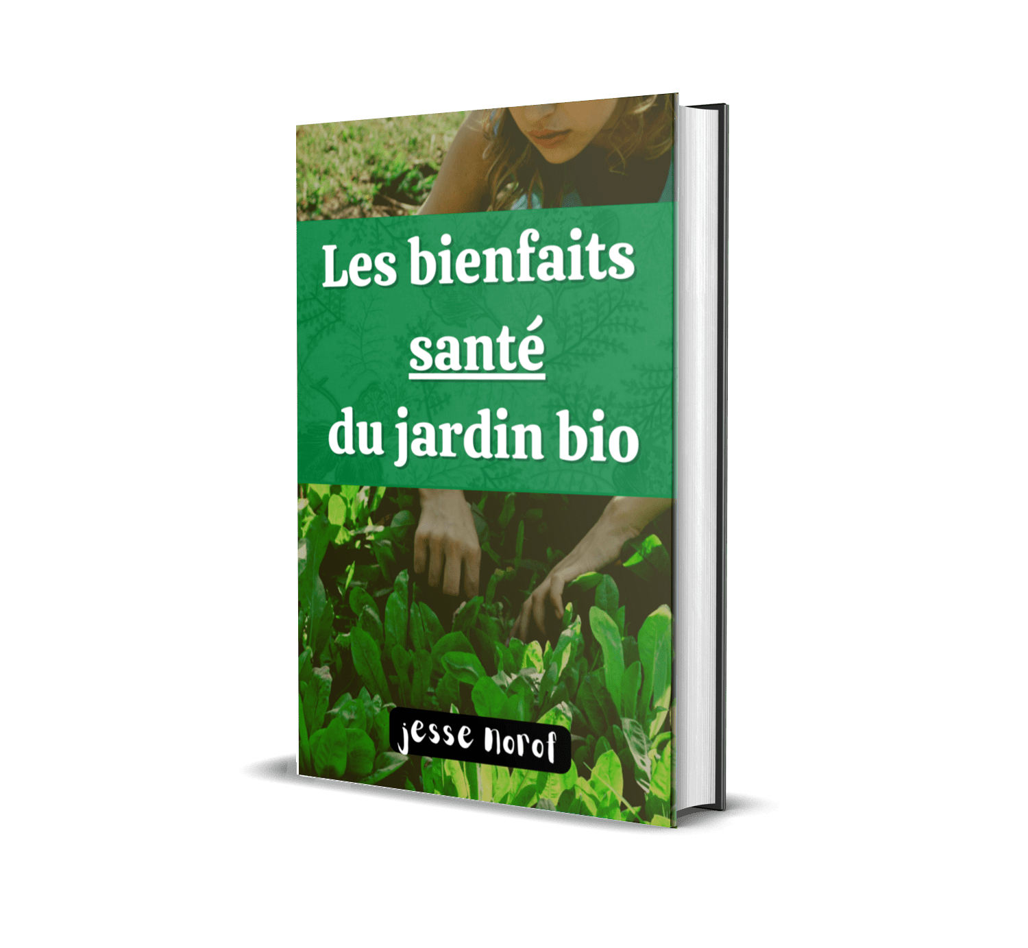 Livre #3 : Les bienfaits Santé du jardin bio