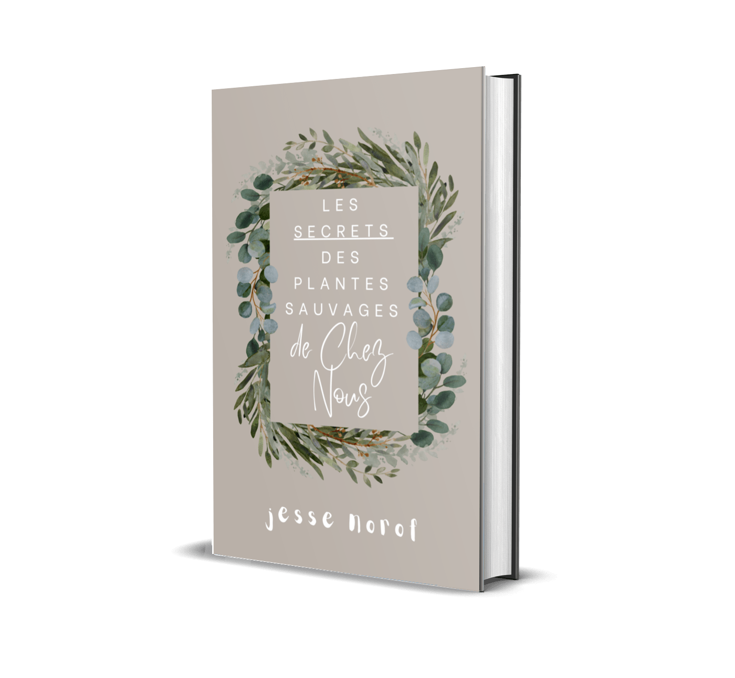 Livre #2 : Les Secrets des Plantes Sauvages de Chez Nous