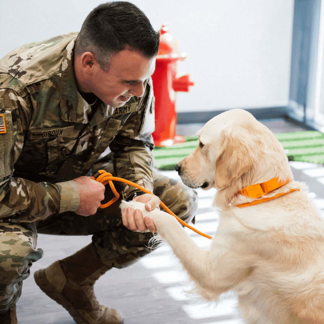 Painting with a Twist enjoy some Back to School fun Painting with a Twist