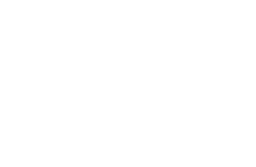 Effi logo
