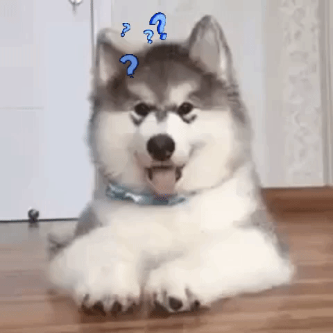 via Giphy