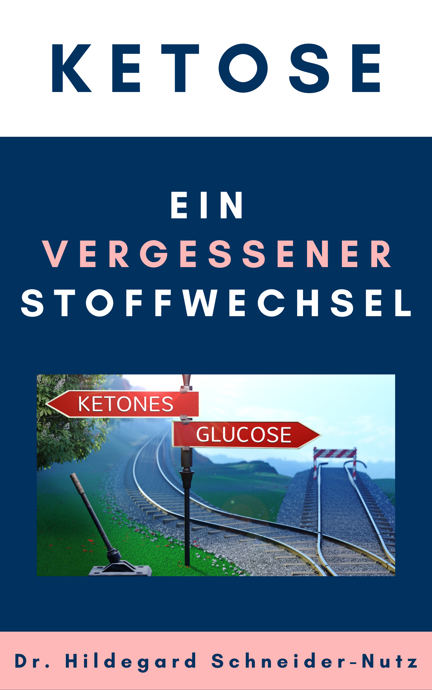 Titelbild von dem Ketose E-Book