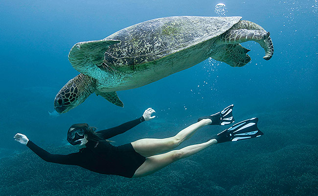 Regenerative travel school programs