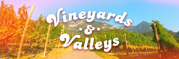 Vineyards and Valleys 2025 logo