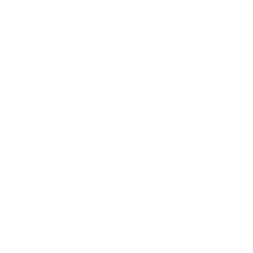 REI Transactional