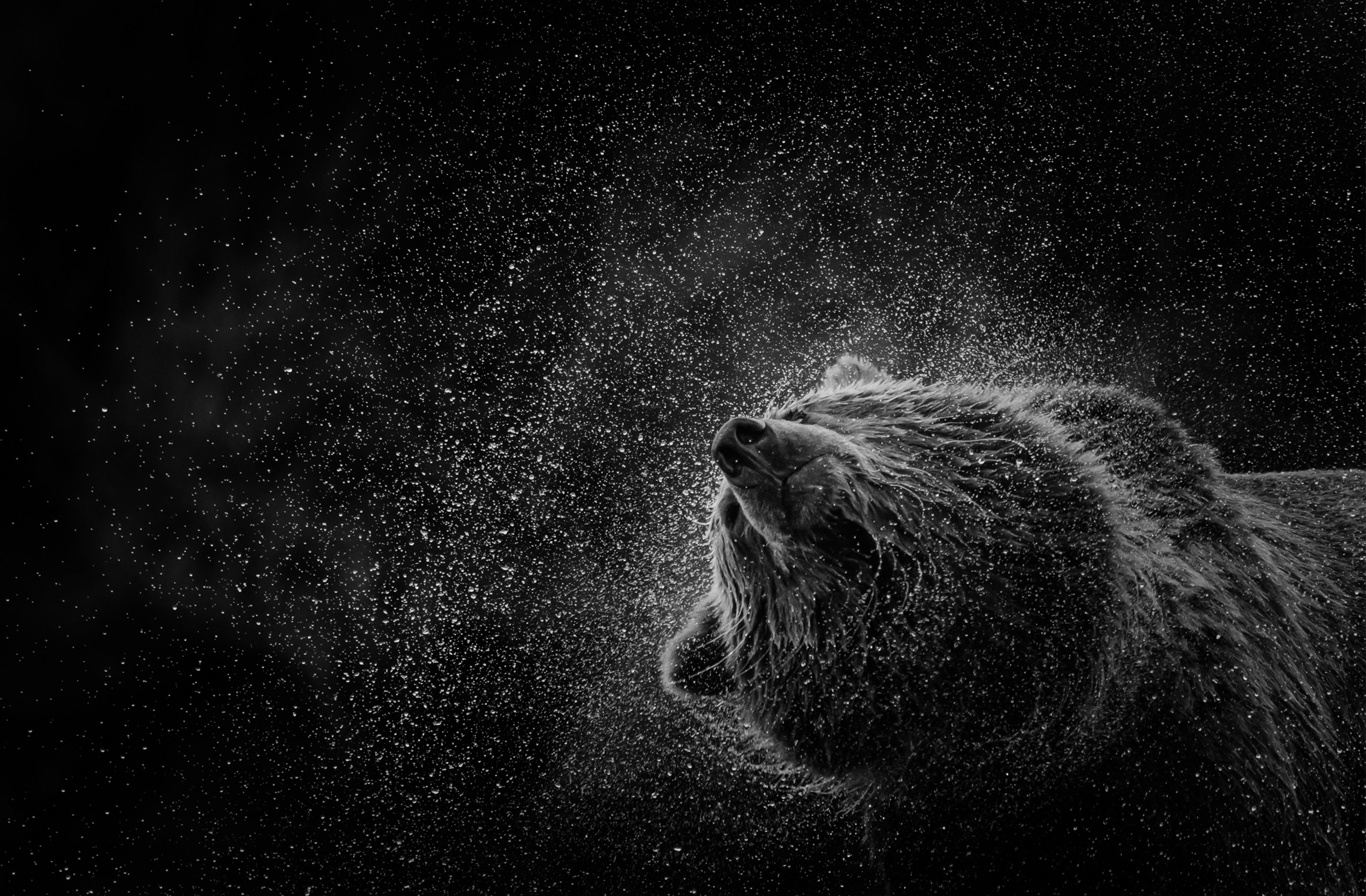 Work created with techniques taught at Photoshop World 2026
