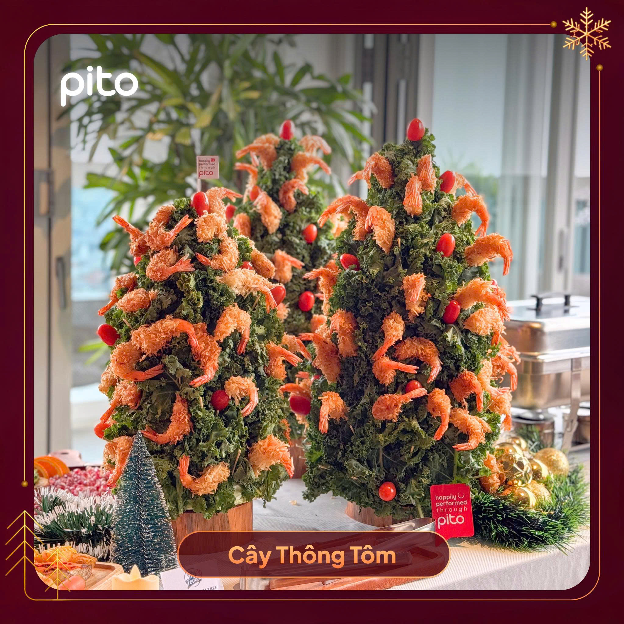 Cây thông tôm