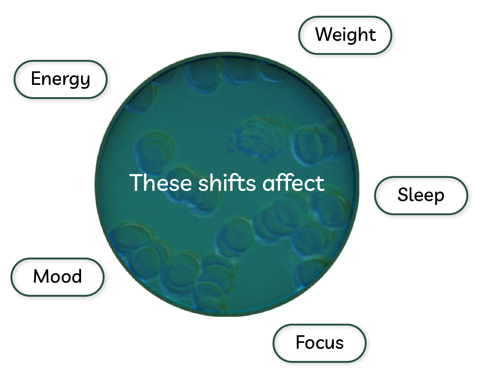 Hormonal Infographic