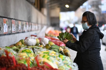 A photo from the Prospect story.