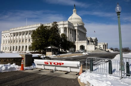 A photo from the Prospect story.