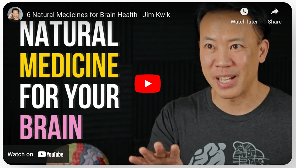 6 Natural Medicines for Brain Health Jim Kwik