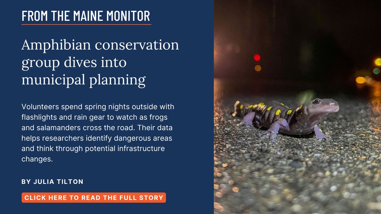 Amphibian conservation group dives into municipal planning. Volunteers spend spring nights outside with flashlights and rain gear to watch as frogs and salamanders cross the road. Their data helps researchers identify dangerous areas and think through potential infrastructure changes. Read this story by Julia Tilton.