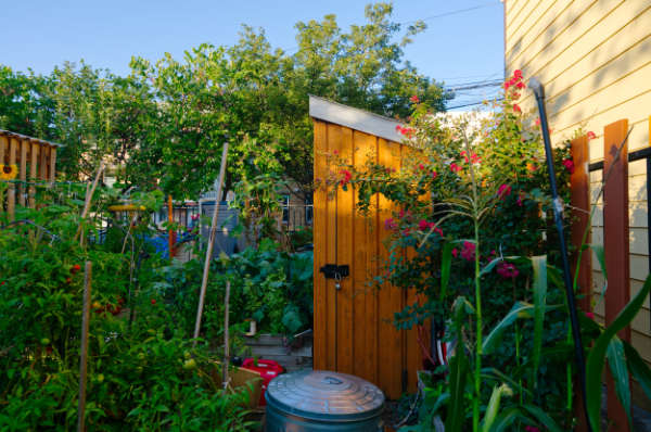 The reconstruction also included new fencing and pathways, movable benches and tables, a seating area, a garden tool shed, compost bins, a barbecue, and numerous landscape plantings. 
