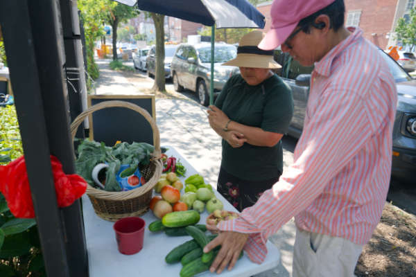 Volunteers arrange fruits and vegetables as a free offering to the community at the entrance of the garden. 