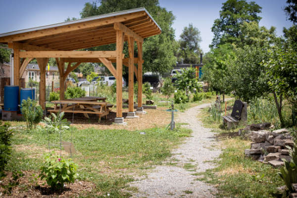The Barnum Food Forest, in Denver’s Barnum neighborhood, has a variety of food-producing trees and bushes and also functions as a multi-purpose gathering area. (Photo courtesy of Denver Urban Gardens)
