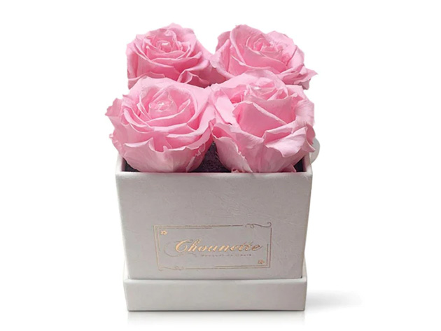 Chounette L' Etonnante 4 Preserved Roses Box for Only $28.88 shipped! Chounette L' Etonnante 4 Preserved Roses Box for Only $28.88 shipped!