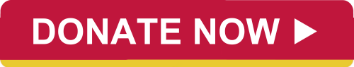 Donate now