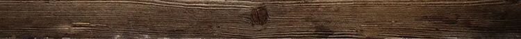 Cast