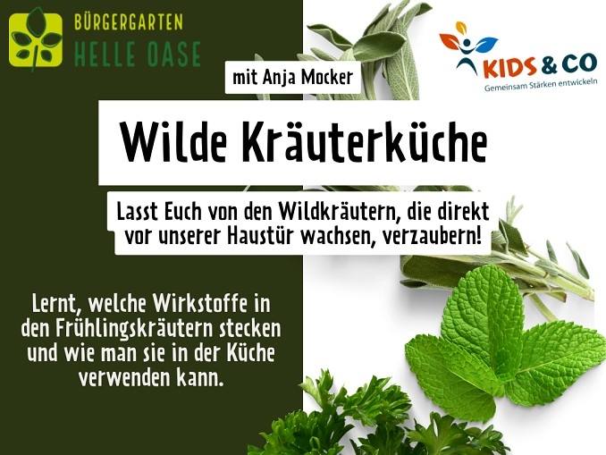 Bild, auf dem einige Kräuter zu sehen sind. Auf dem Bildes steht "mit Anja Mocker Wilde Kräuterküche Lasst Euch von den Wildkräutern, die direkt vor unserer Haustür wachsen, verzaubern! Lernt, welche Wirkstoffe in den Frühlingskräutern stecken und wie man sie in der Küche verwenden kann.".