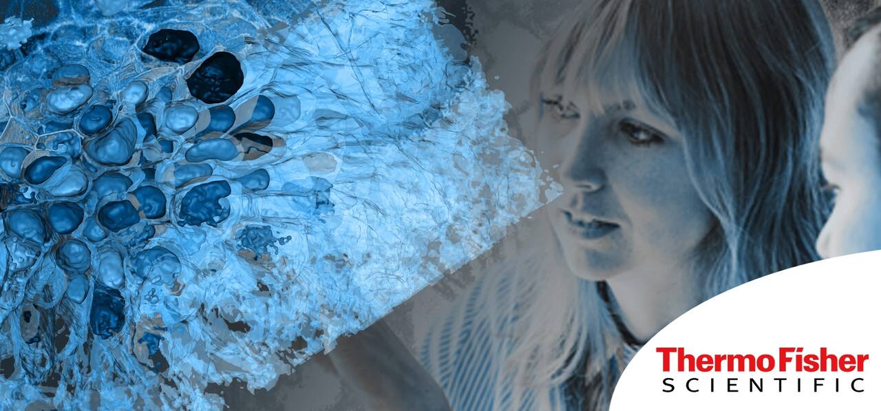 Image Analysis Tools Every Cell Biologist Needs Bitesize Bio