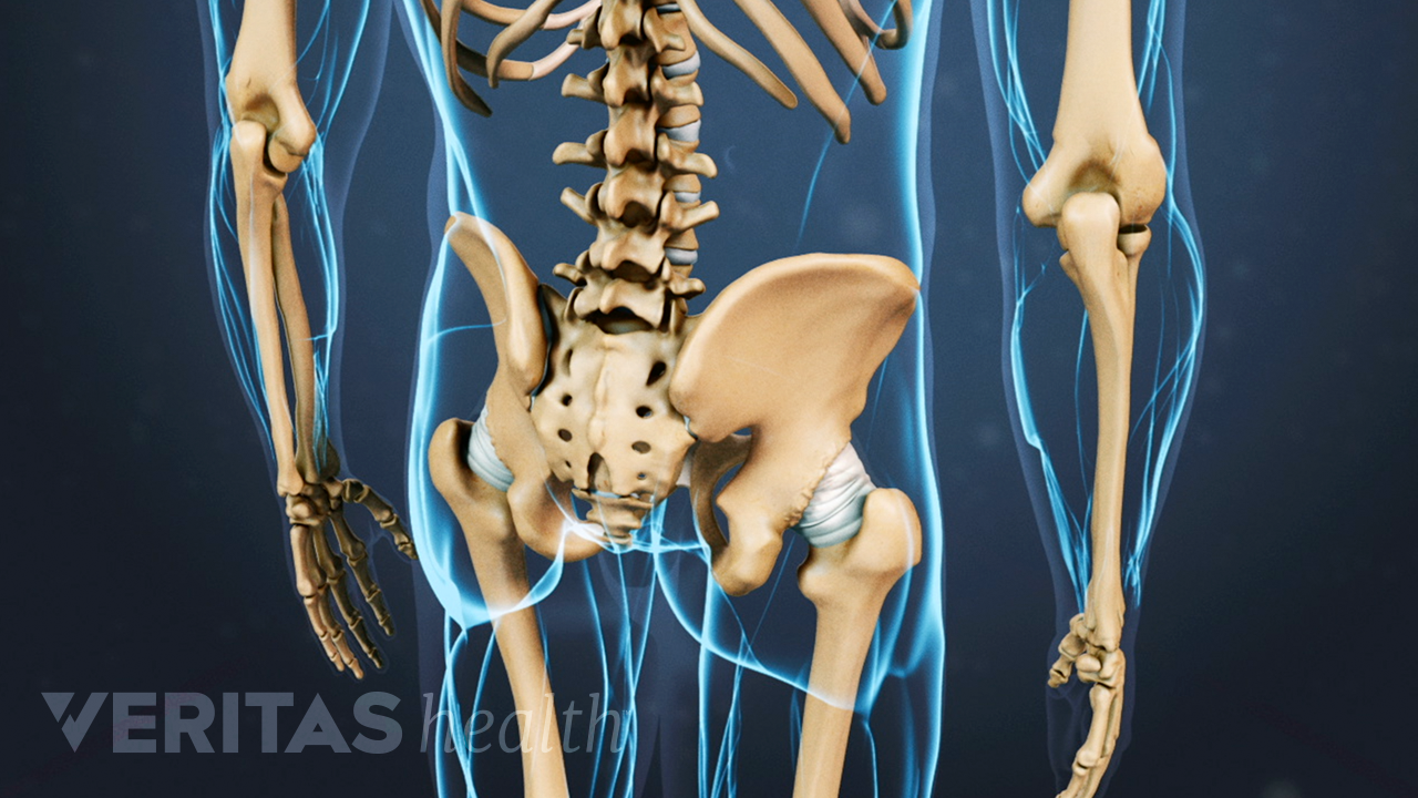 3D rendering of the hips