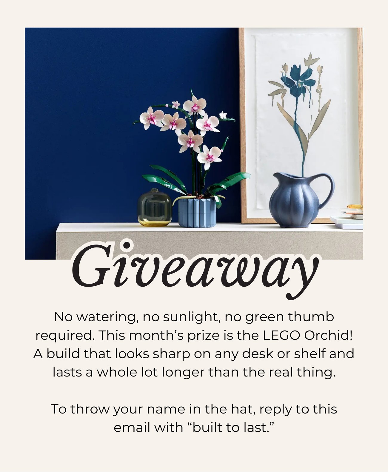 GIVEAWAY! No watering, no sunlight, no green thumb required. This month’s prize is the LEGO Orchid! A build that looks sharp on any desk or shelf and lasts a whole lot longer than the real thing. To throw your name in the hat, reply to this email with “built to last.”