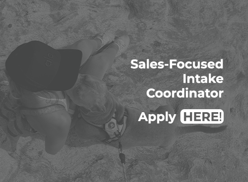 Sales Focused Intake Coordinator 