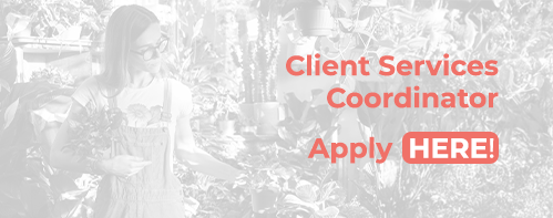 Client Service Coordinator