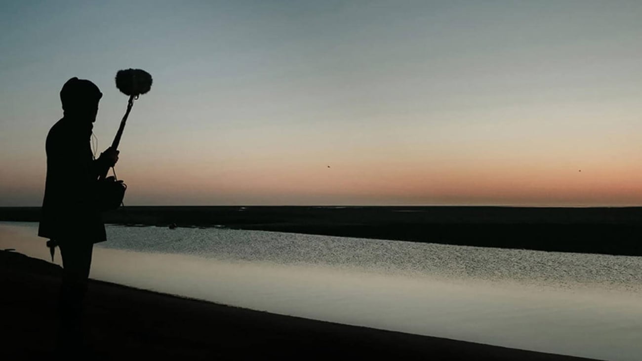 image associated with Soundsnap