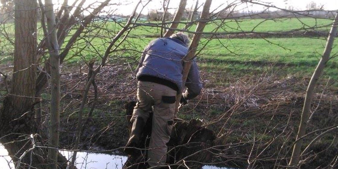 Nieuwsbrief De Groene Motor