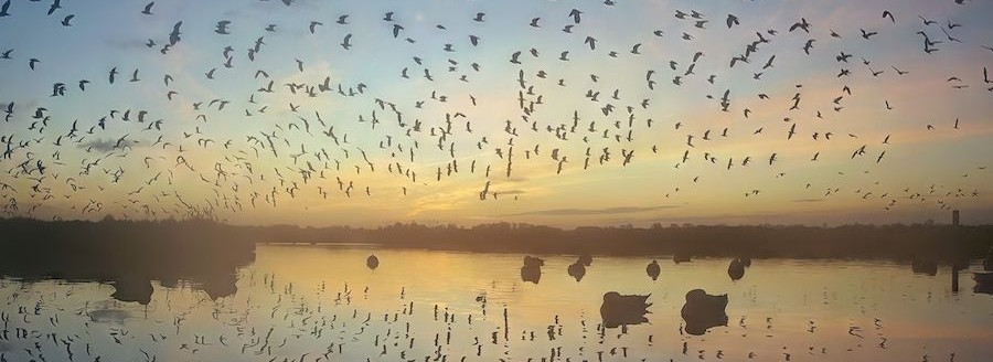 Weidevogelkerngebieden