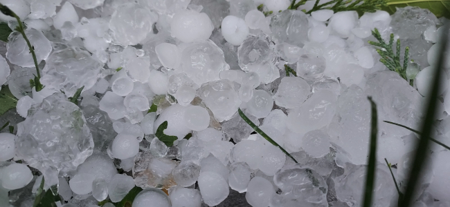 Euskalmet impulsa Minka/KazkaApp, una herramienta para registrar tormentas de granizo