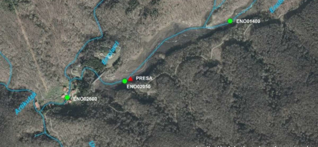 La fauna piscícola confirma la recuperación de la conectividad fluvial en Artikutza tras el vaciado de la presa