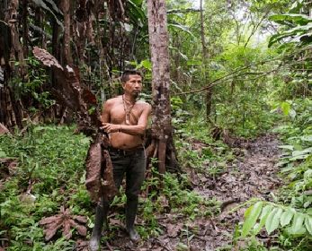 Kaya dans la Forêt Amazonienne