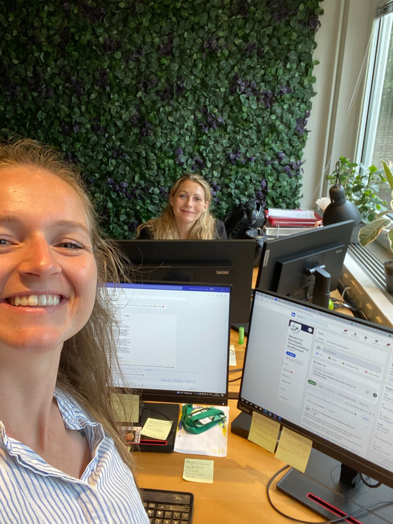 Billede af Helle B. Holm, med tilladelse fra AVAS og Helle B. Holm. 