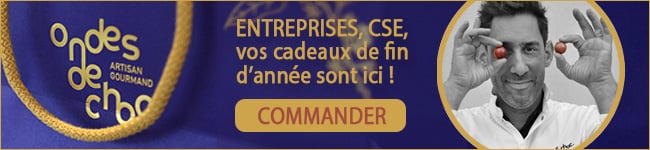 Porte Ouvertes AFIP