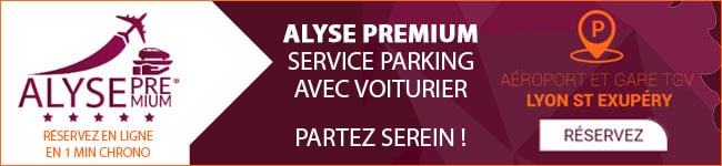 Alyse premium service B2B de voiturier 