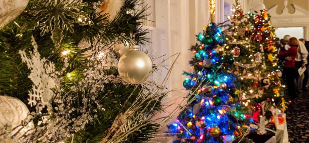 christmas trees at queensbury hotel