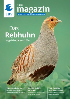 Cover des LBV-Magazins