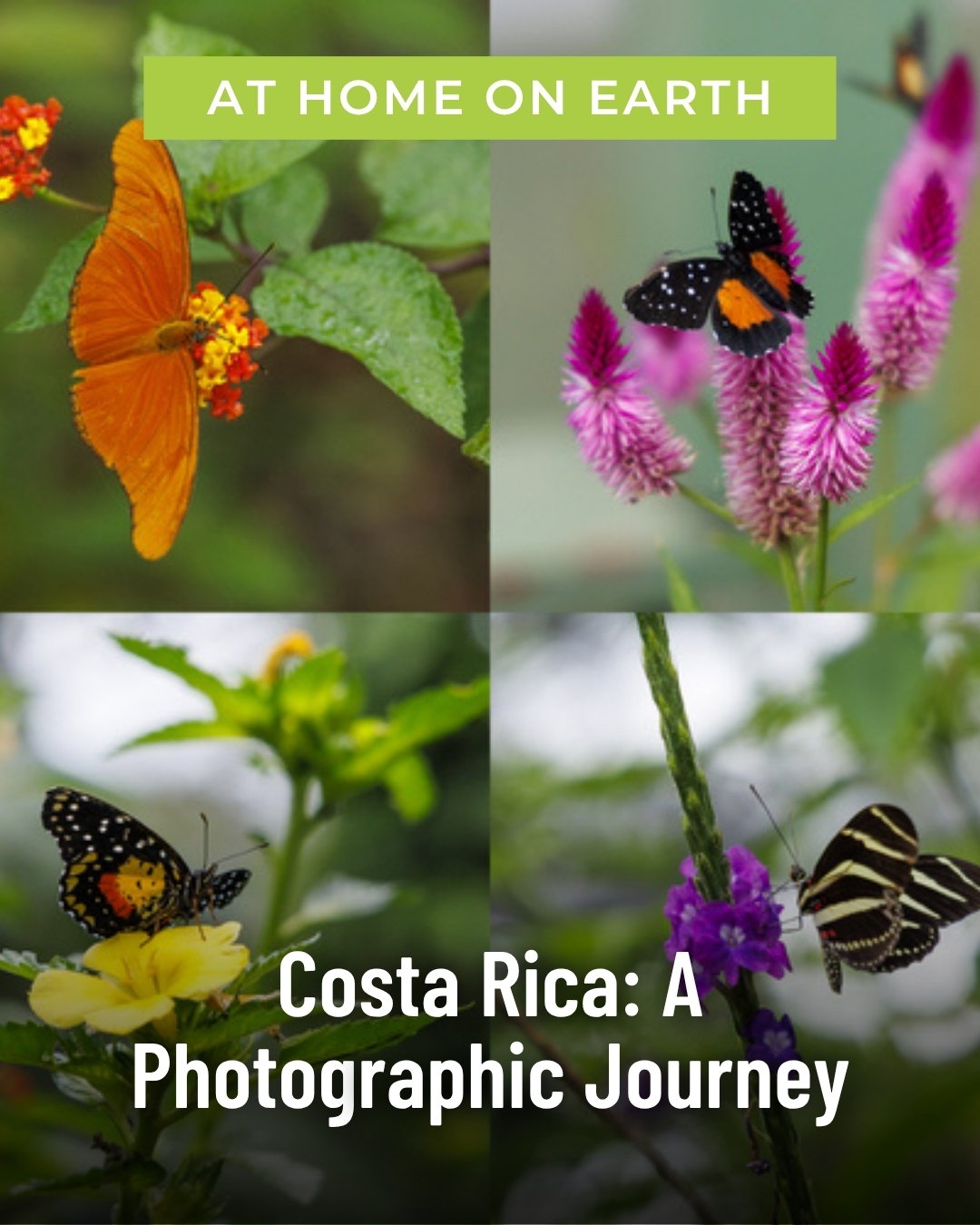 Costa Rica: A Photographic Journey
