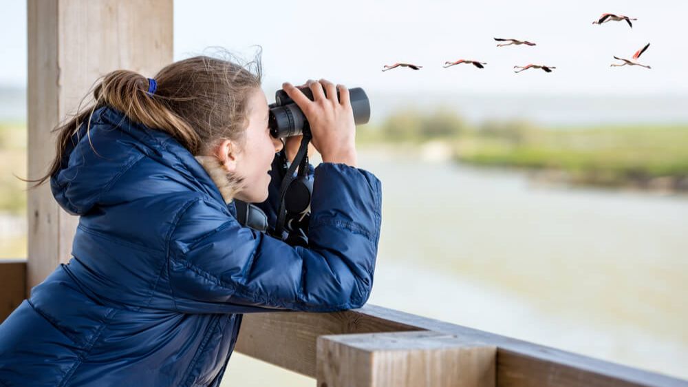 Young girl bird watching Young girl bird watching